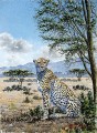 Thiongo Gepard auf dem Savannah Panther